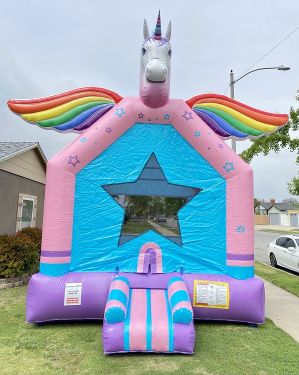 Themed Bounce Houses