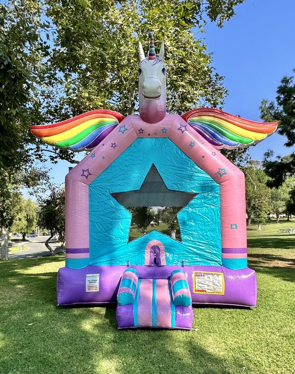 Themed Bounce Houses